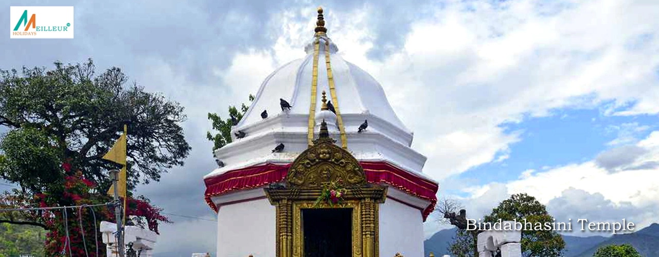 Bindhabhashini Temple